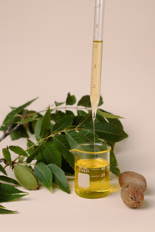 Beaker filled with golden cold-pressed pecan oil and a glass dropper above it.